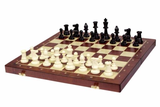 Jeu d'échec & Echiquier Ensemble d'entraînement